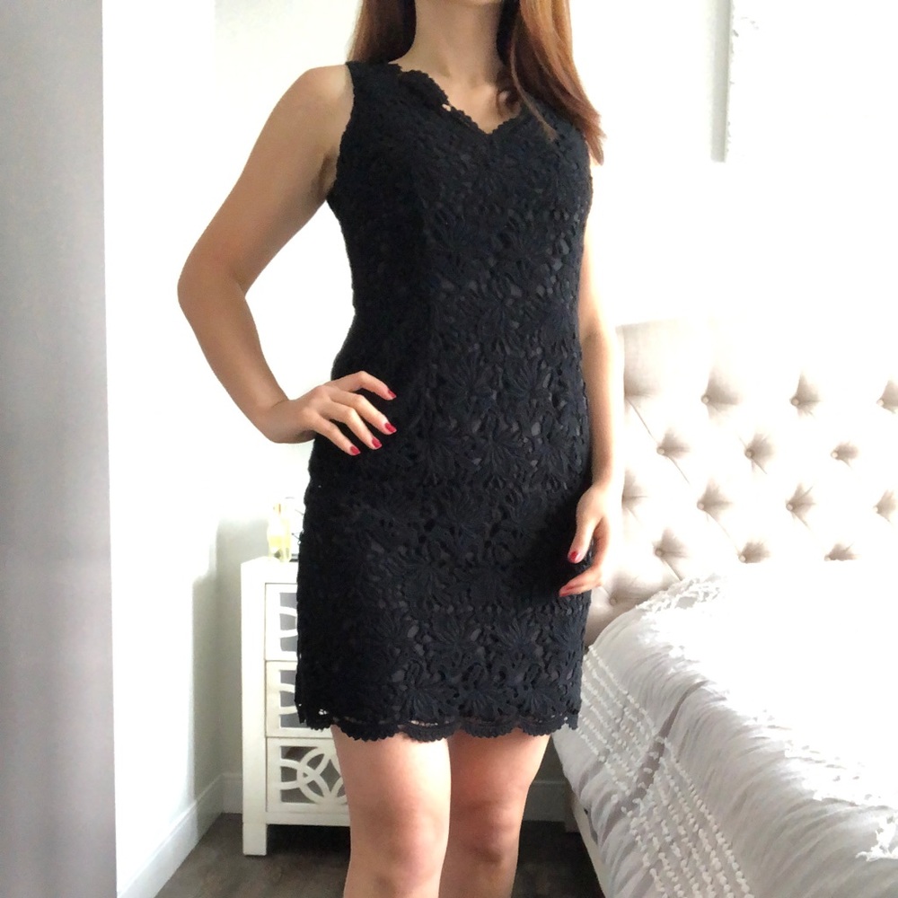 Ann Taylor V-neck Scalloped lace dress